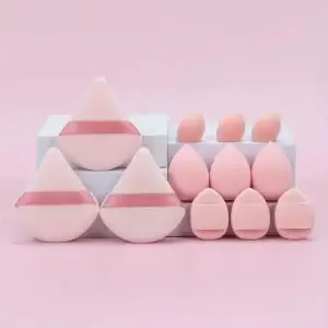Wet Dry Makeup Sponge Set
